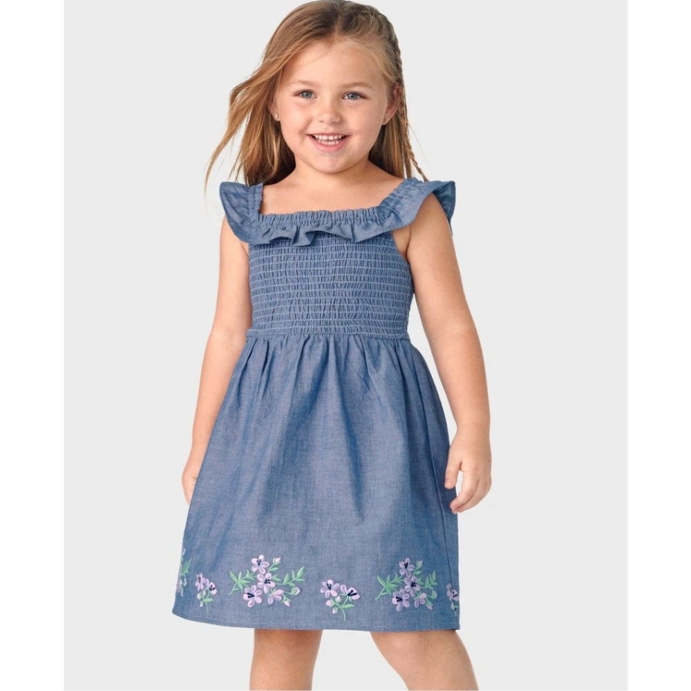 Homegrown By Gymboree Girls 3T Embroidered Floral Chambray Flutter Blue Dress